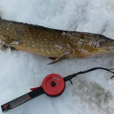 Aikku In The Heart Of Lapland, Free Lapin Kota, Budget Week * Ylläs